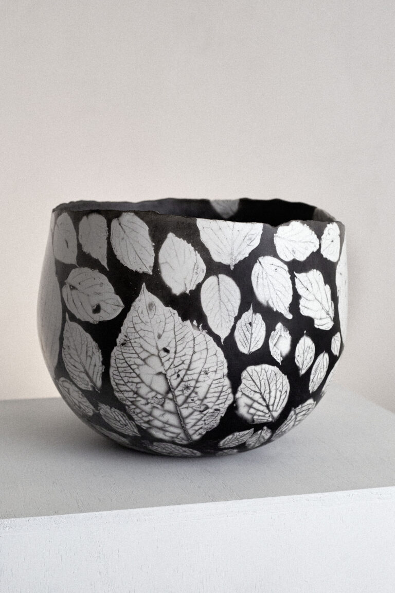 Feuilles d&rsquo;hortensia